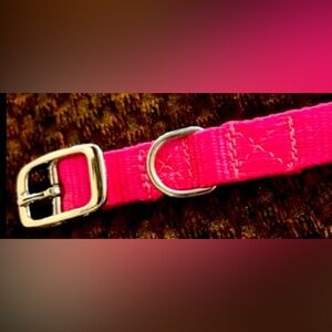 1 Large dog collar, neon pink with metal closure